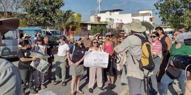 Inauguración del Tren Maya es ilegal, denuncian ambientalistas