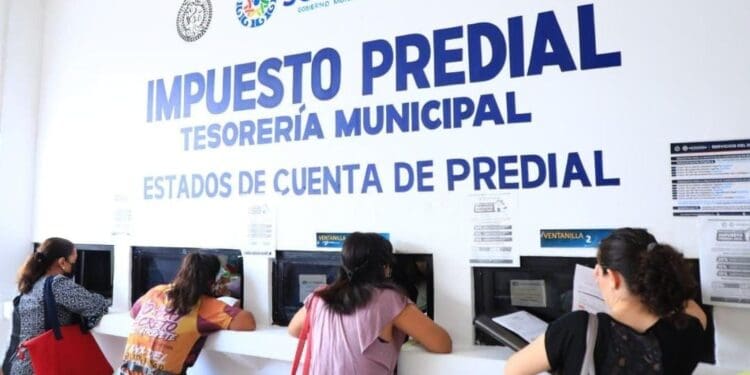 Ingresos en Solidaridad reflejan la confianza de la gente en el gobierno de Lili Campos