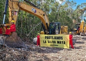 Ambientalistas se manifestarán para exigir se cumpla la ley en el Tramo 5 Sur del Tren Maya
