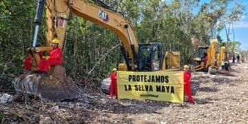 Ambientalistas se manifestarán para exigir se cumpla la ley en el Tramo 5 Sur del Tren Maya