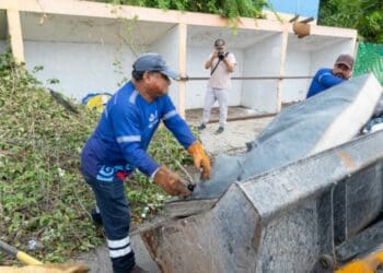 Campañas en Playa del Carmen mantienen a raya el dengue