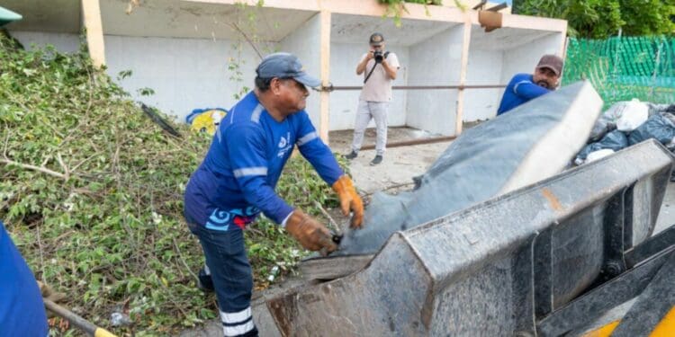 Campañas en Playa del Carmen mantienen a raya el dengue