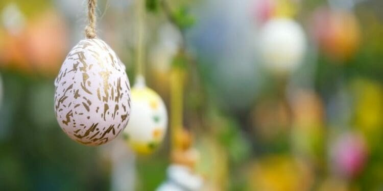 Invitan a los niños de Playa del Carmen al evento 'Conejitos Soleados' con motivo de la Pascua