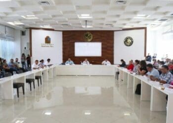 Aprueban crear reglamento para atención y bienestar de mascotas en Playa del Carmen