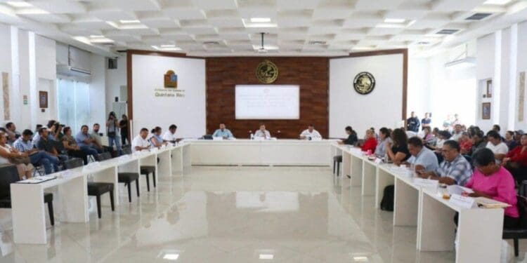 Aprueban crear reglamento para atención y bienestar de mascotas en Playa del Carmen