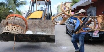 Calendario semanal de descacharrización para Playa del Carmen