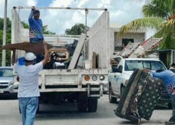 Esta semana descacharrización en Nicte-Ha y zona industrial de Playa del Carmen