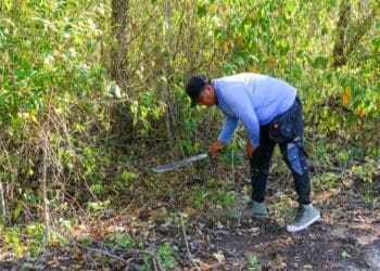 Invitan a no crear tiraderos en Playa del Carmen y reportarlos