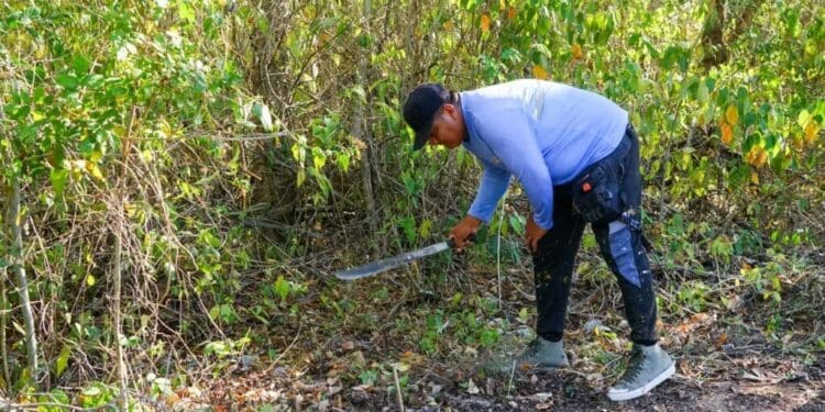 Invitan a no crear tiraderos en Playa del Carmen y reportarlos