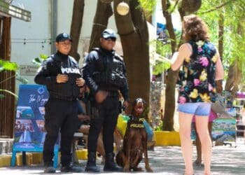 Solidaridad con saldo blanco esta temporada vacacional