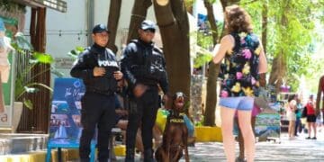 Solidaridad con saldo blanco esta temporada vacacional