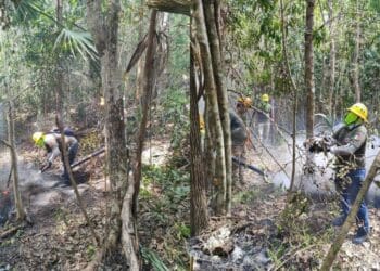 Ayuntamiento de Solidaridad emite recomendaciones para una quema controlada