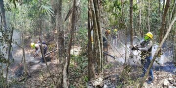 Ayuntamiento de Solidaridad emite recomendaciones para una quema controlada