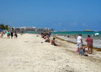 Conoce el termómetro del sargazo y disfruta de las playas