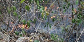 Extreme precauciones en temporada de incendios