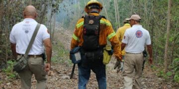Recomendaciones ante incendios forestales
