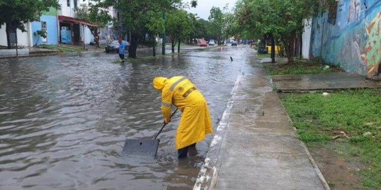 Reacción inmediata del gobierno de Solidaridad ante lluvias intensas
