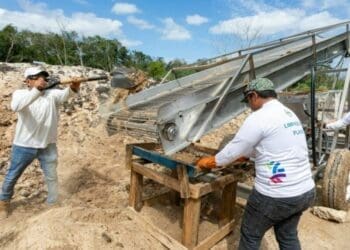 Reconocimiento Internacional a Playa del Carmen por proyecto sobre el manejo del sargazo