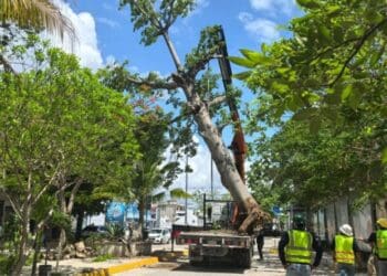 Gobierno de Solidaridad y sector privado juntos en beneficio del medio ambiente