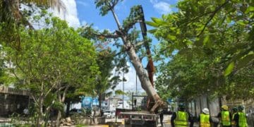 Gobierno de Solidaridad y sector privado juntos en beneficio del medio ambiente
