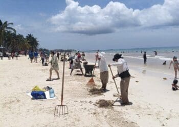 La solidaridad presente tras huracán Beryl