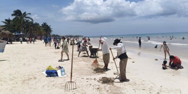 La solidaridad presente tras huracán Beryl