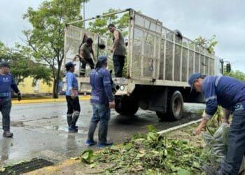 Solidaridad registra saldo blanco tras el paso de Beryl
