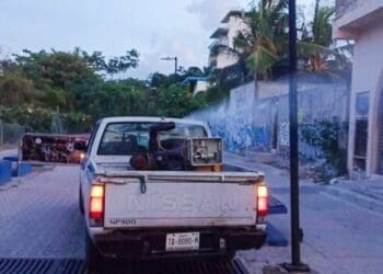 Solidaridad toma medidas de precaución contra el dengue