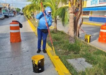 Gobierno de Solidaridad refuerza acciones de limpieza y reforestación