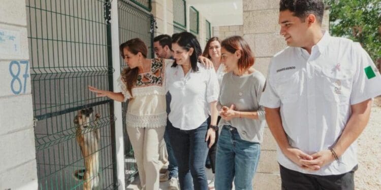 Mara Lezama y Estefanía Mercado, por la adopción responsable de mascotas