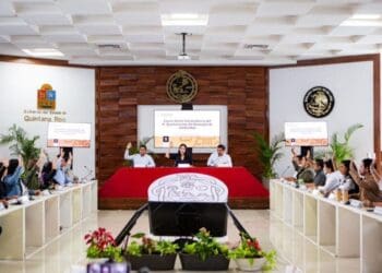 Estefanía Mercado pone freno a la sobredensificación en Solidaridad