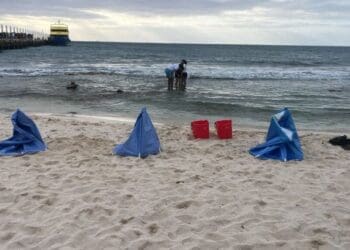 Retiran autoridades a argentinos que realizaban crioterapia en Playa del Carmen sin permisos