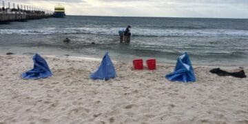 Retiran autoridades a argentinos que realizaban crioterapia en Playa del Carmen sin permisos