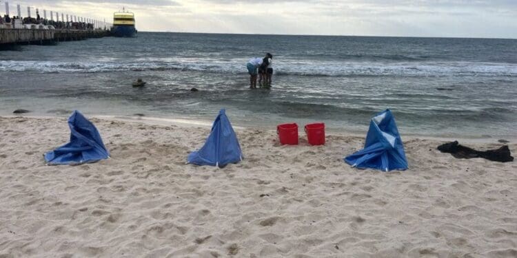 Retiran autoridades a argentinos que realizaban crioterapia en Playa del Carmen sin permisos