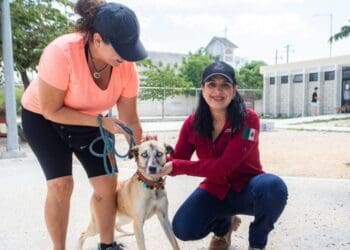 Con Estefanía Mercado al frente, Playa del Carmen está a un paso de hacer historia con su primera clínica gratuita para animales