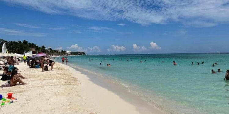 Gobierno de Playa del Carmen aclara que no hay permisos de construcción en Playa Mamitas