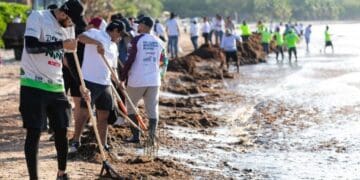 Gobierno de Estefanía Mercado retira más de 19 mil toneladas de sargazo esta temporada en Playa del Carmen