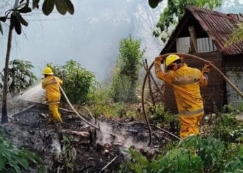 Playa del Carmen cierra la temporada de incendios forestales 2025 con 914 incidentes atendidos