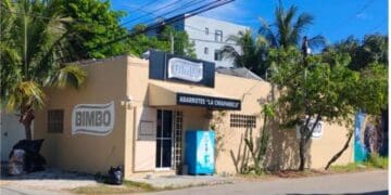 Estefanía Mercado suma a empresarios a la construcción de la identidad de Playa del Carmen con el color Arena Playa