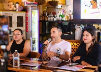 Anuncian en Playa del Carmen la segunda edición del “Dog Festival”